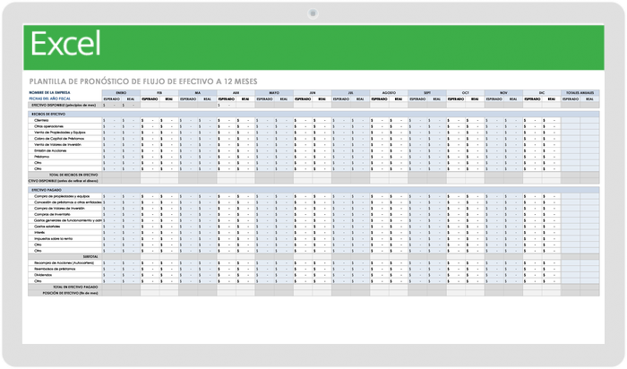 PREVISIÓN DE FLUJO DE EFECTIVO A 12 MESES