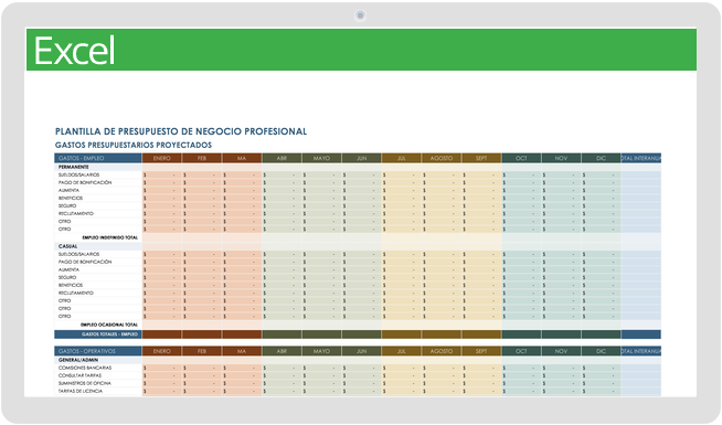 Presupuesto empresarial profesional